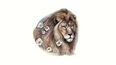 Hande Kazanova 18 - 24 Haziran 2018 Haftası Aslan Burcu Yorumu