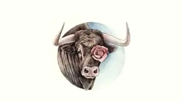 Hande Kazanova 18 - 24 Haziran 2018 Haftası Boğa Burcu Yorumu