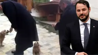 Köpek Besleyen Erdoğan, Yiyeceğin Soğuk Olduğunu Fark Edince Elinde Isıttı