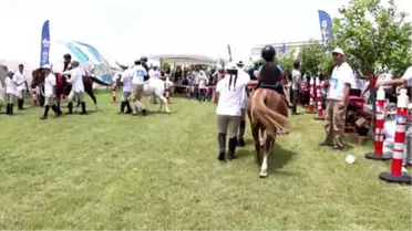 Pony Club Şehrinize Geliyor' Projesi