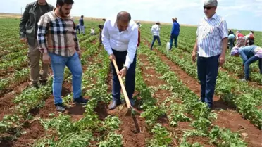 Atik: '25 Haziran'da Aydınlık Bir Türkiye'ye Uyanacağız'
