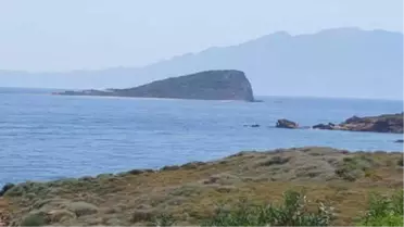 Doğanbey Adası'na Çed İzni Verilen Projeye Başkandan Tepki