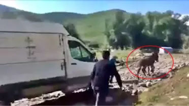 Yaylada Mahsur Kalan Aracı Eşekler Kurtardı