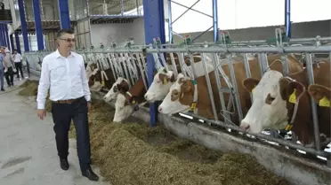 Eskişehir'e Modern Süt Tesisleri Kuruluyor