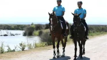 Kızılırmak Deltası'nı, Atlı Jandarma Timi Koruyor