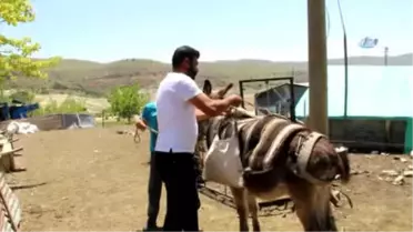 14 Yaşındaki Berdan'ın Lgs Başarısı Dikkat Çekti