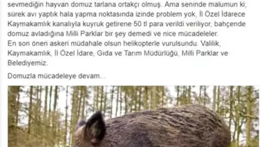 Oy Pusulasındaki 'Domuz' Serzenişine Belediye Başkanından Cevap