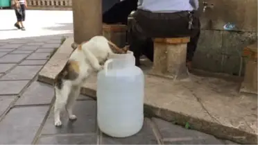 Sıcaktan Bunalan Siirtliler Çeşmelerde Serinledi