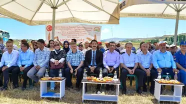 Kocasinan'da Şanlı Buğday Çeşidi Tarla Günü