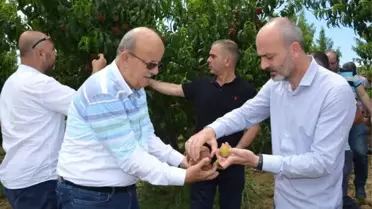 Doluzede Çiftçilere Destek