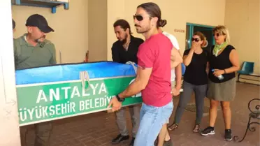 Metin Kor'un Kardeşinden Açıklama