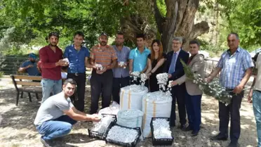 İpekböceği Kadınların Yüzünü Güldürdü