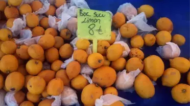 Patates ve Soğanın Ateşi Düştü