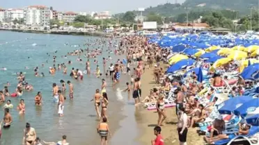Çınarcık'ta Sezon En Yoğun Günlerini Yaşıyor