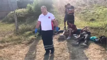 Trafik Kazası: 9 Yaralı