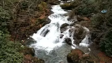 Batı Karadeniz'in Gizli Kalmış Hazinesi