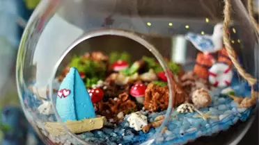 Teraryumlara Talep Patladı