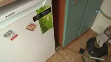 Böceklerden Kurtulayım Derken Sağlığınızdan Olmayın