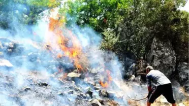 Bodrum 3 Hektar Makilik Yandı