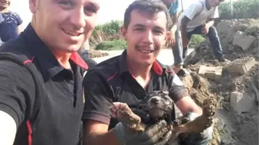 İtfaiye Yavru Köpek İçin Seferber Oldu