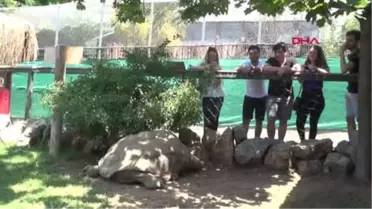 Kocaeli Tuki, Dünya Şampiyonunu Bildi Hd