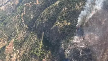 Seydikemer'de Anız Yangını Ormana Sıçradı (3)