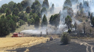 Konya'da Ormanlık Alana Sıçrayan Yangın
