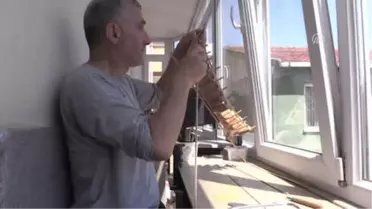 Ağaç Parçaları Tarihi Savaş Gemilerinin Maketlerine Dönüşüyor