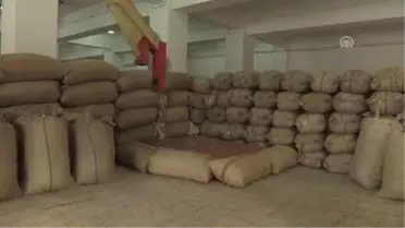 Fındık Piyasasında Güvenli Ortam Gerekiyor'