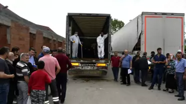 Alaplı'da Genç Çiftçi Projesi
