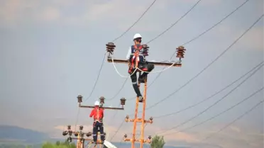Kuş Ölümleri 'Kuşkonmaz' ile Engelleniyor