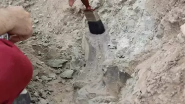 Çankırı'da Omurgalı Fosil Kazıları Başladı