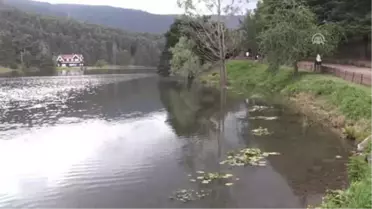 Gölcük, Nilüfer Gölü Haline Dönüşecek'