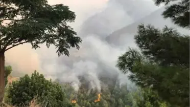 Hatay'daki Yangında 40 Hektar Orman ve 5 Ev Zarar Gördü