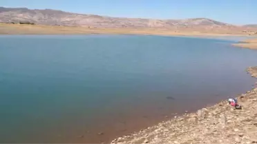 Piknik Faciaya Dönüştü: 4 Ölü