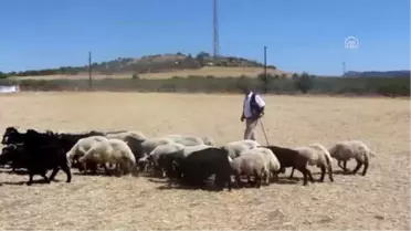 Kimse Teröristlere Boyun Eğmesin'