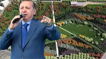 17 İlde Sabırsızlıkla Beklenen Millet Bahçeleri İçin Üç Ay Sonra Start Veriliyor
