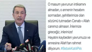 Bakan Akar'dan 'Bebekkatilipkk' Hashtagli Paylaşım