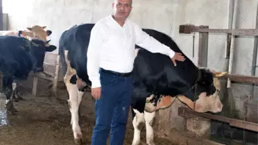 İncefikir: 'Türkiye Hayvan Üretiminde Gelişmiş Ülkelerin Gerisinde'