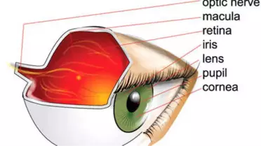 İnsan Dokusu Kişiye Özel Şekillendirildi, Türkiye'de Uygulandı