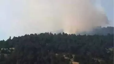 Bursa'nın Orhaneli İlçesinde Orman Yangını