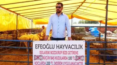 500 Dolar Bozdurup, Makbuzunu Getirene Kurbanlıkta İndirim