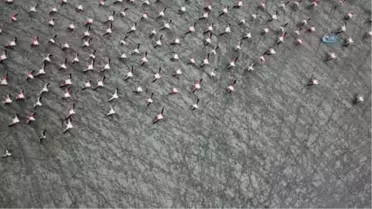 Burdur'un Yarışlı Gölü 141 Kuş Türüne Ev Sahipliği Yapıyor