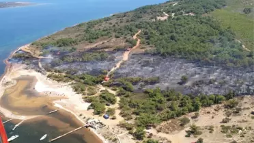 Ayvalık'taki Orman Yangını Söndürüldü