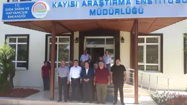 2019 'Dünya Kayısı Sempozyumu' Malatya'da Yapılacak