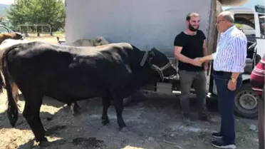 İznik Belediye Başkanı, 14 Bin Liraya Kurbanlık Aldı