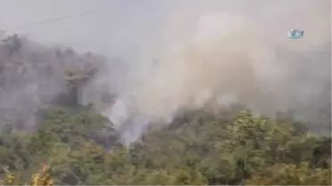 Kastamonu'da Orman Yangını