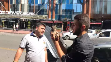 Otomobilin Motor Kısmına Giren Yavru Kedi Kurtarıldı
