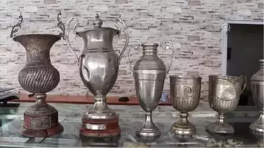 Şampiyonluk Kupasında Fesleğen Yetiştirmişler