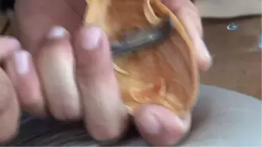 Geleneksel El Sanatları Ahlat'ta Buluştu.